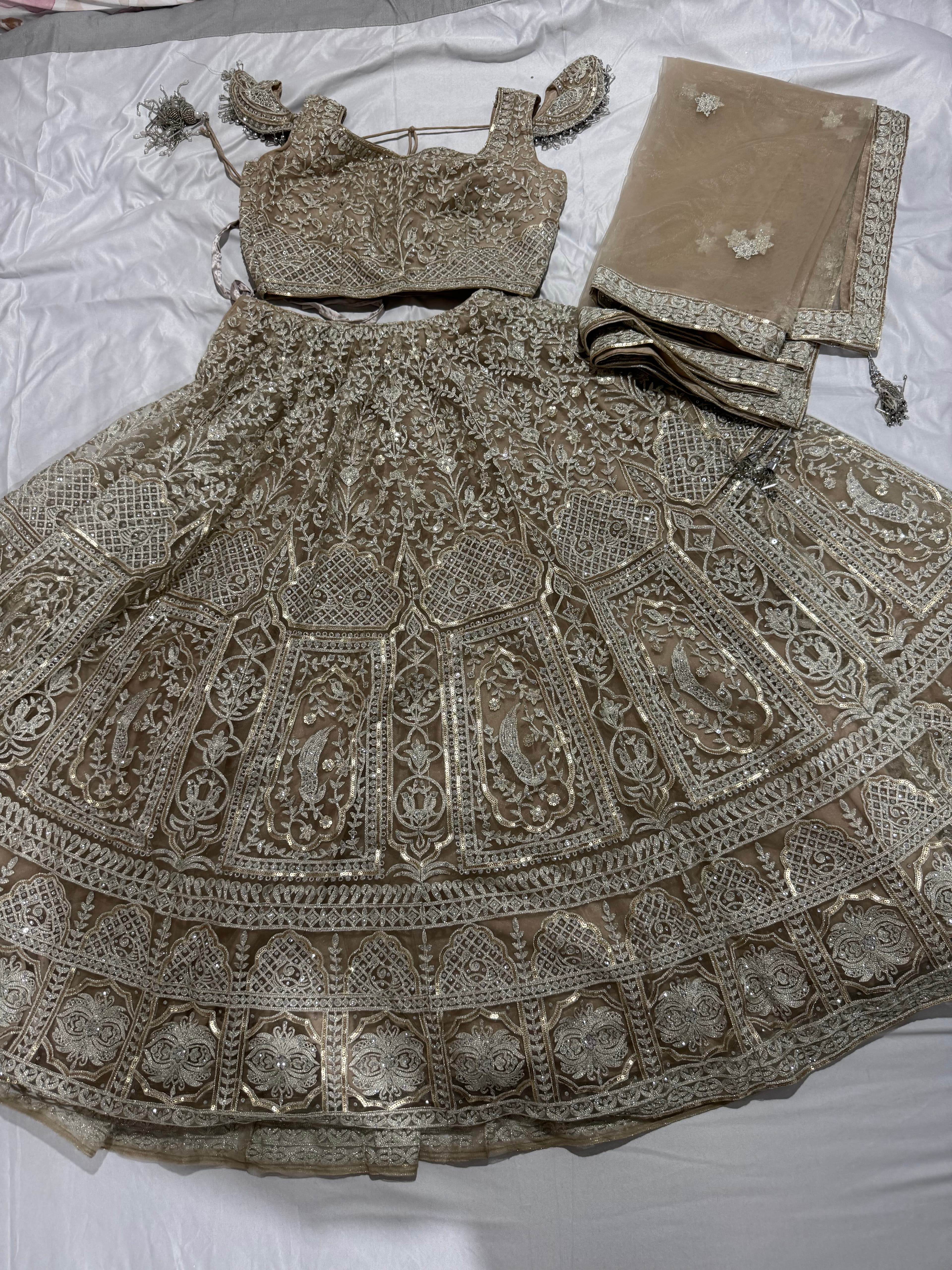 Stunning Gold & Silver Embroidered Net Lehenga Choli with Dupatta - Pre-loved